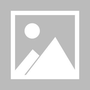 MK体育APP-【早报】三狮变三猫！英格兰难求一胜小组垫底！